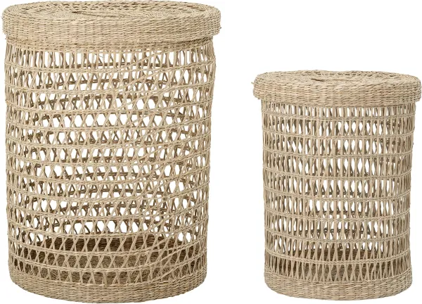 Connie, kori kannella, meriruoho (sarja 2 kpl)